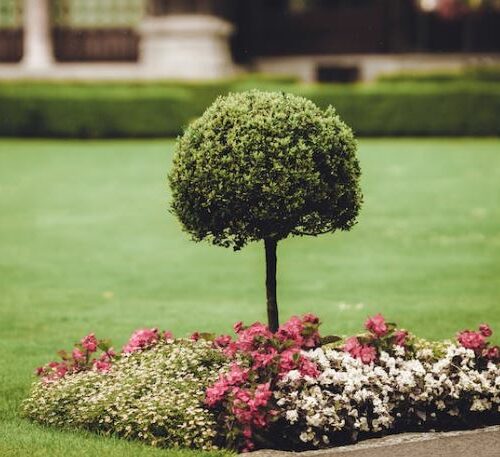 aménagement de jardin