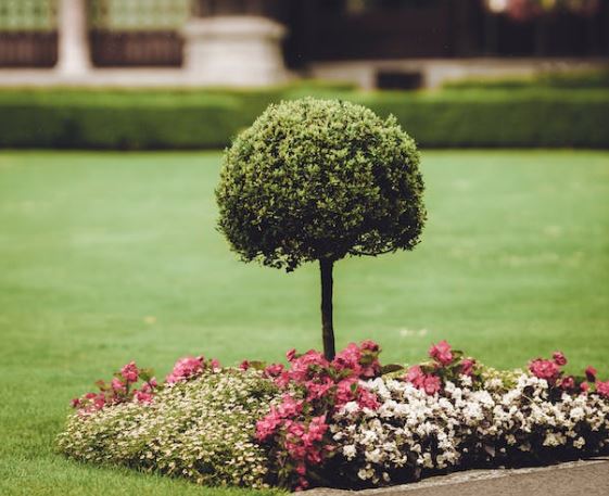 aménagement de jardin