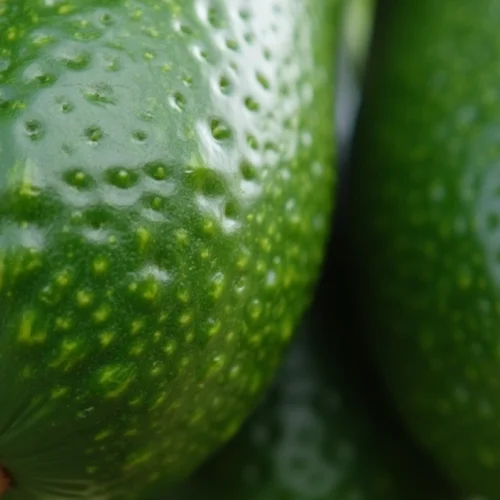 noyau-d-avocat-fendu-causes-et-solutions-pour-vos-plants